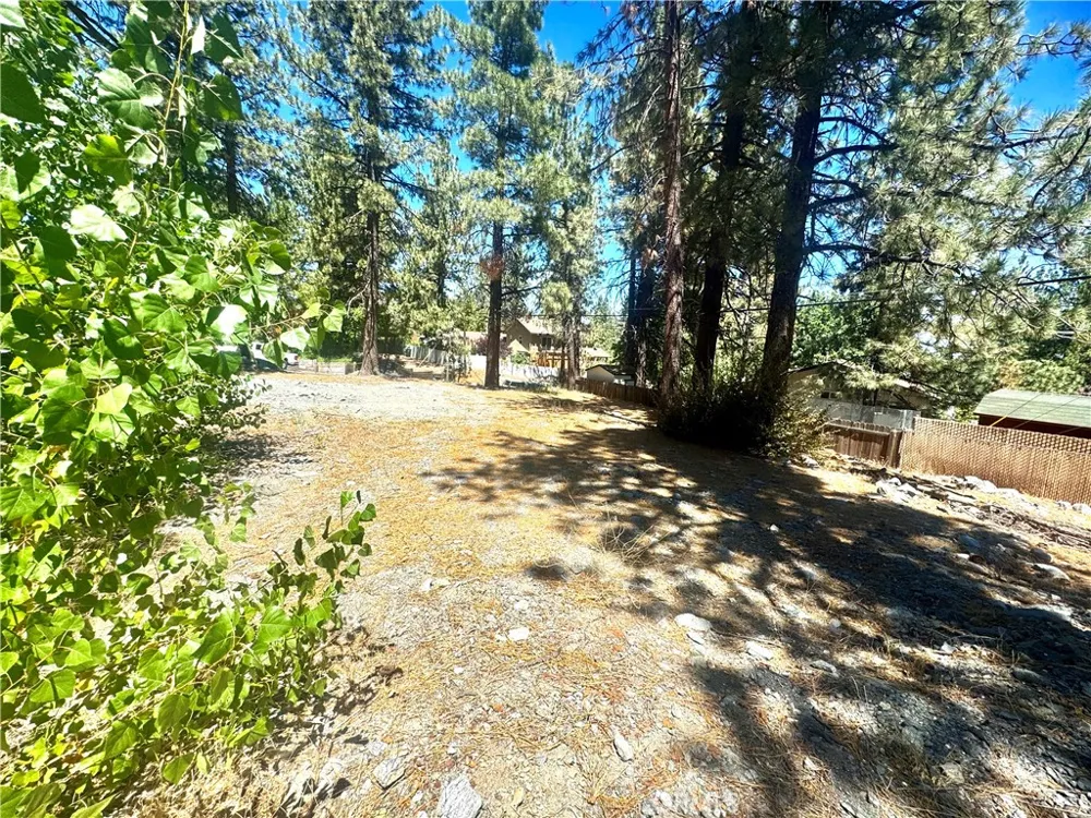 5357 Orchard Wrightwood, CA 92397