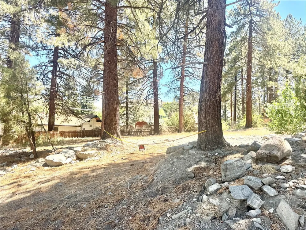 5357 Orchard Wrightwood, CA 92397