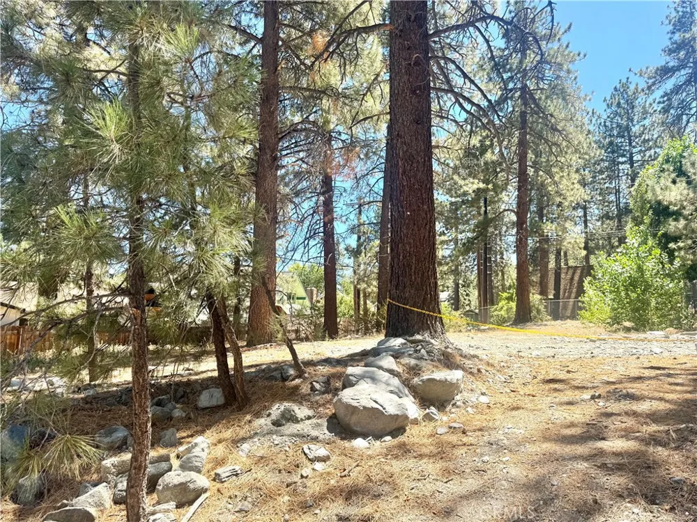 5357 Orchard Wrightwood, CA 92397