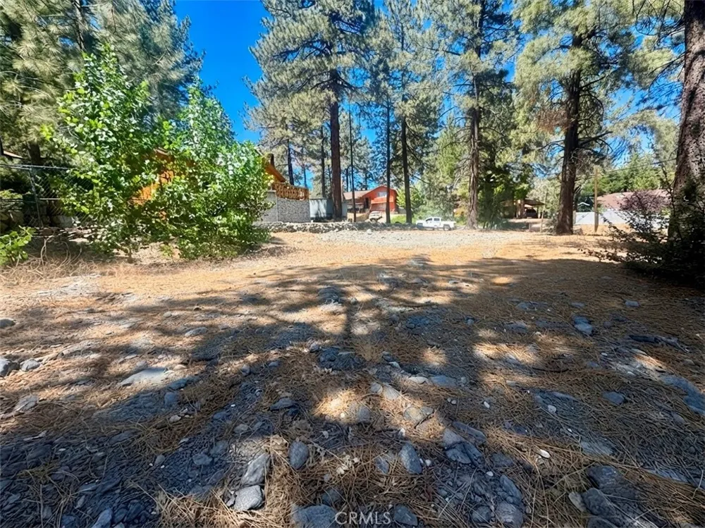 5357 Orchard Wrightwood, CA 92397