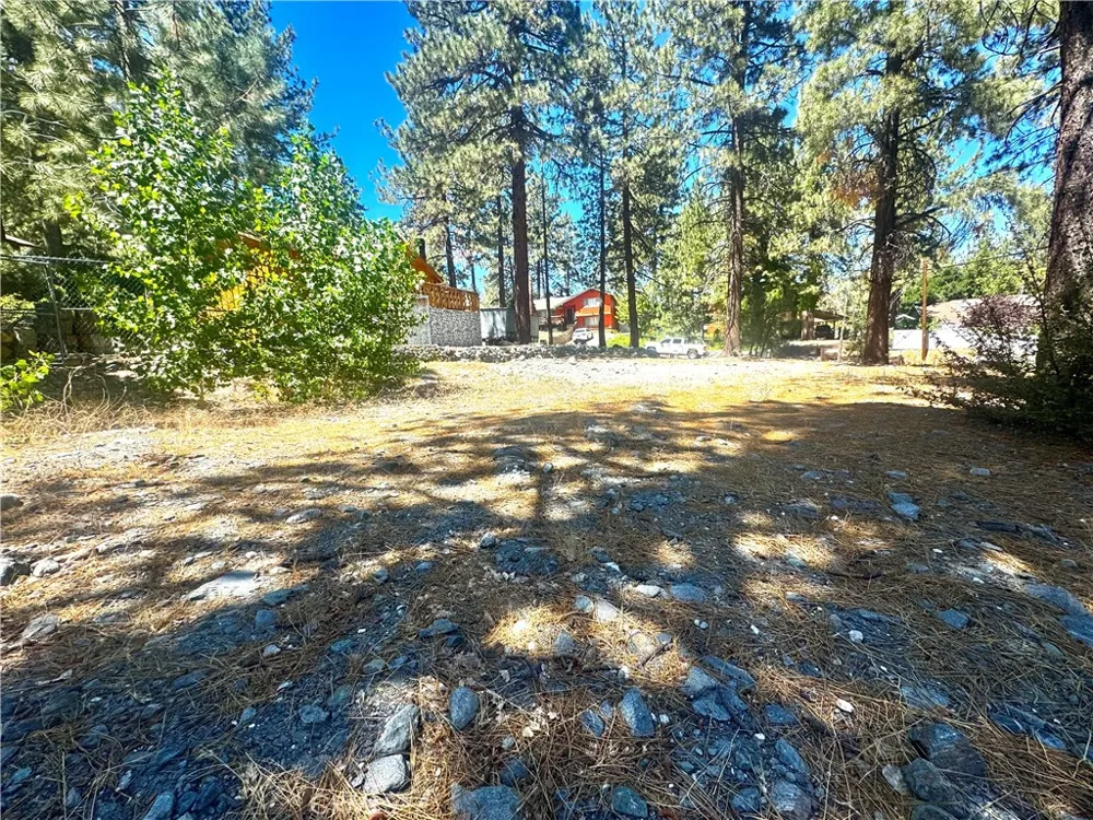5357 Orchard Wrightwood, CA 92397