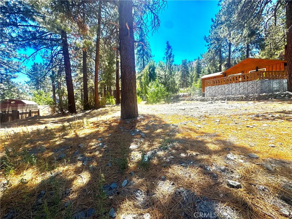 5357 Orchard Wrightwood, CA 92397
