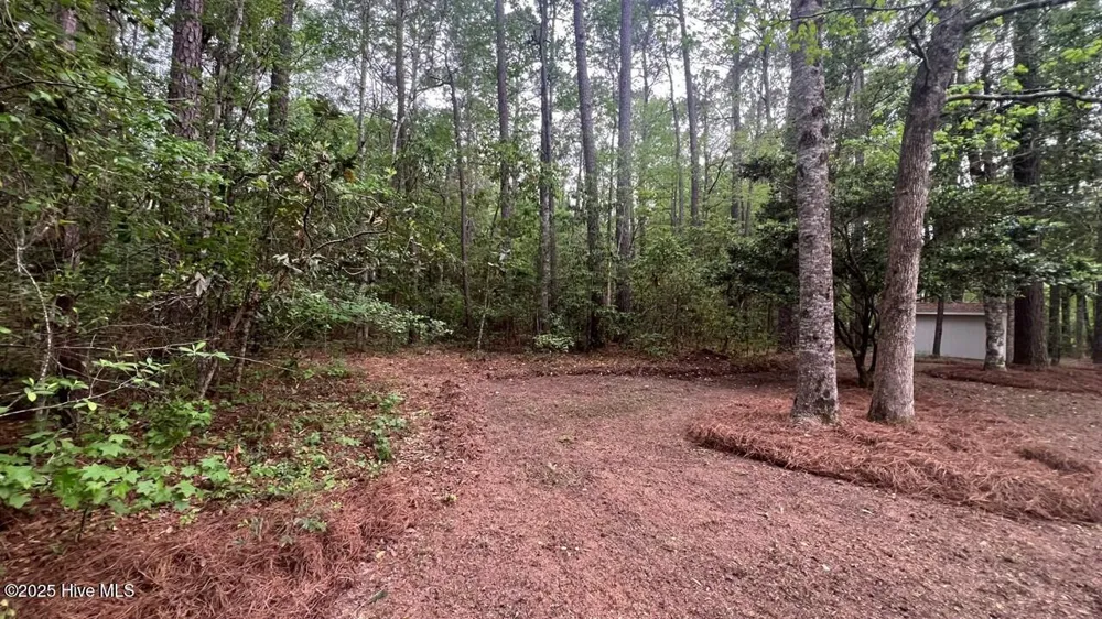 20 Sunfield Drive Calabash, NC 28467