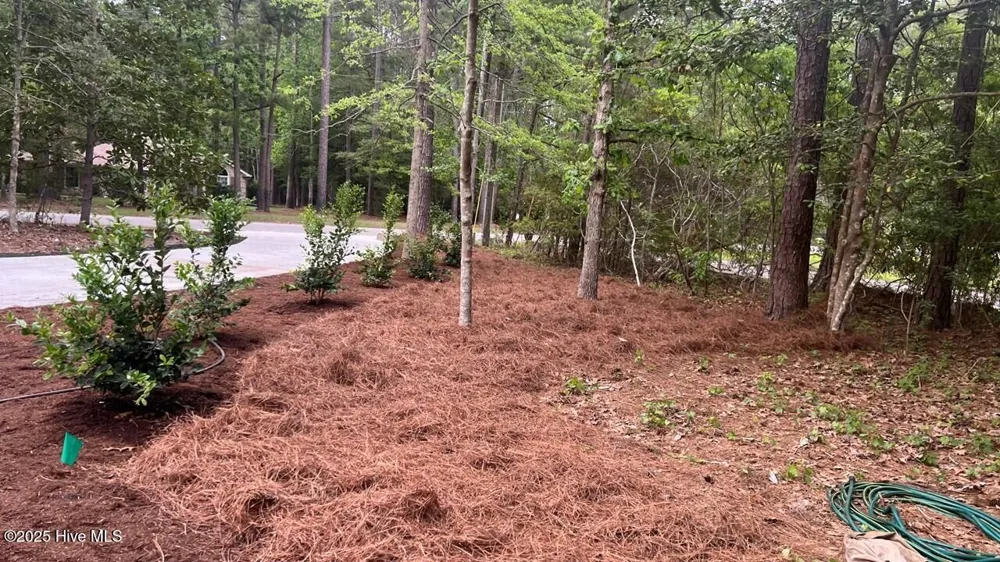20 Sunfield Drive Calabash, NC 28467