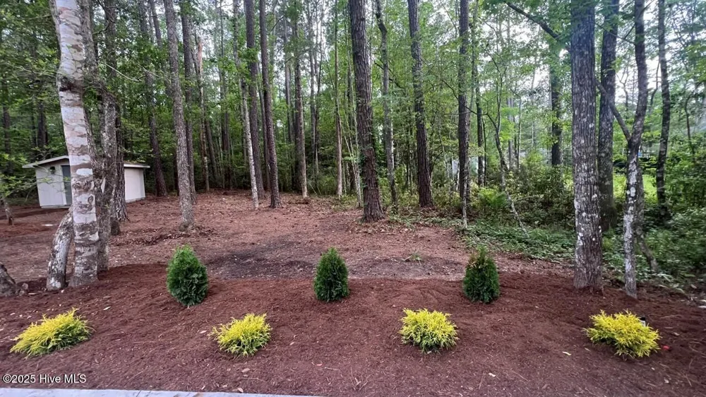 20 Sunfield Drive Calabash, NC 28467