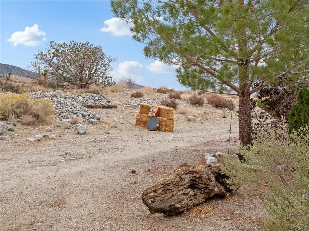 10160 Pineview Road Pinon Hills, CA 92372