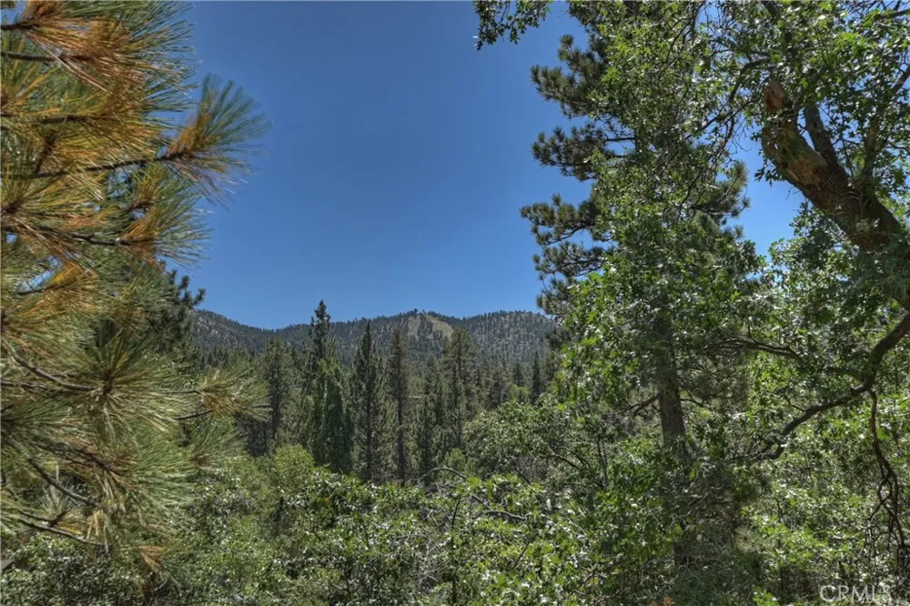 43305 Sand Canyon Big Bear Lake, CA 92315