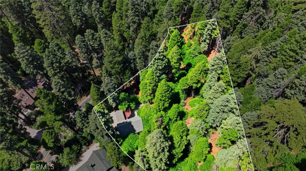 745 Kuffel Canyon Lake Arrowhead, CA 92352