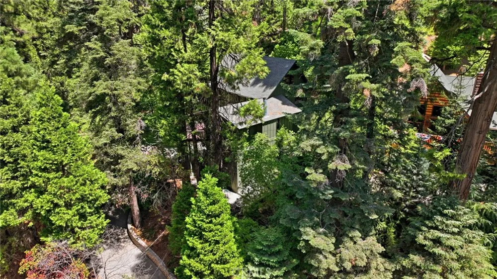745 Kuffel Canyon Lake Arrowhead, CA 92352