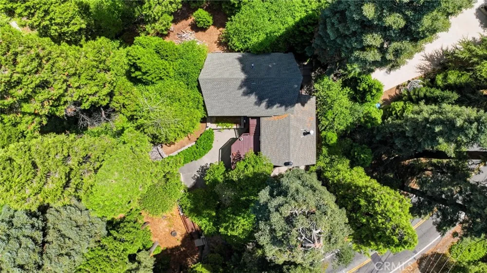 745 Kuffel Canyon Lake Arrowhead, CA 92352