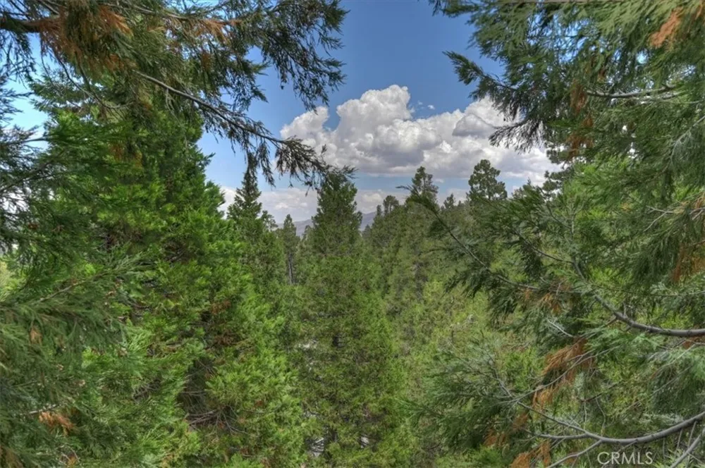 28986 Alder Terrace Lake Arrowhead, CA 92321