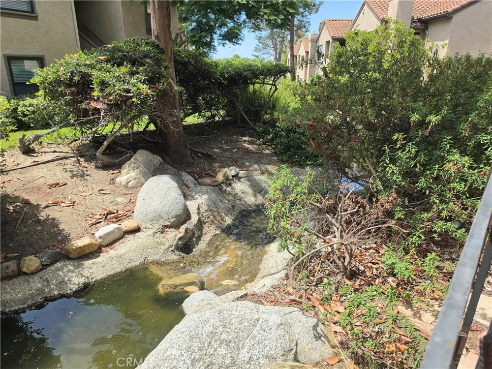 1072 Calle Del Cerro San Clemente, CA 92672