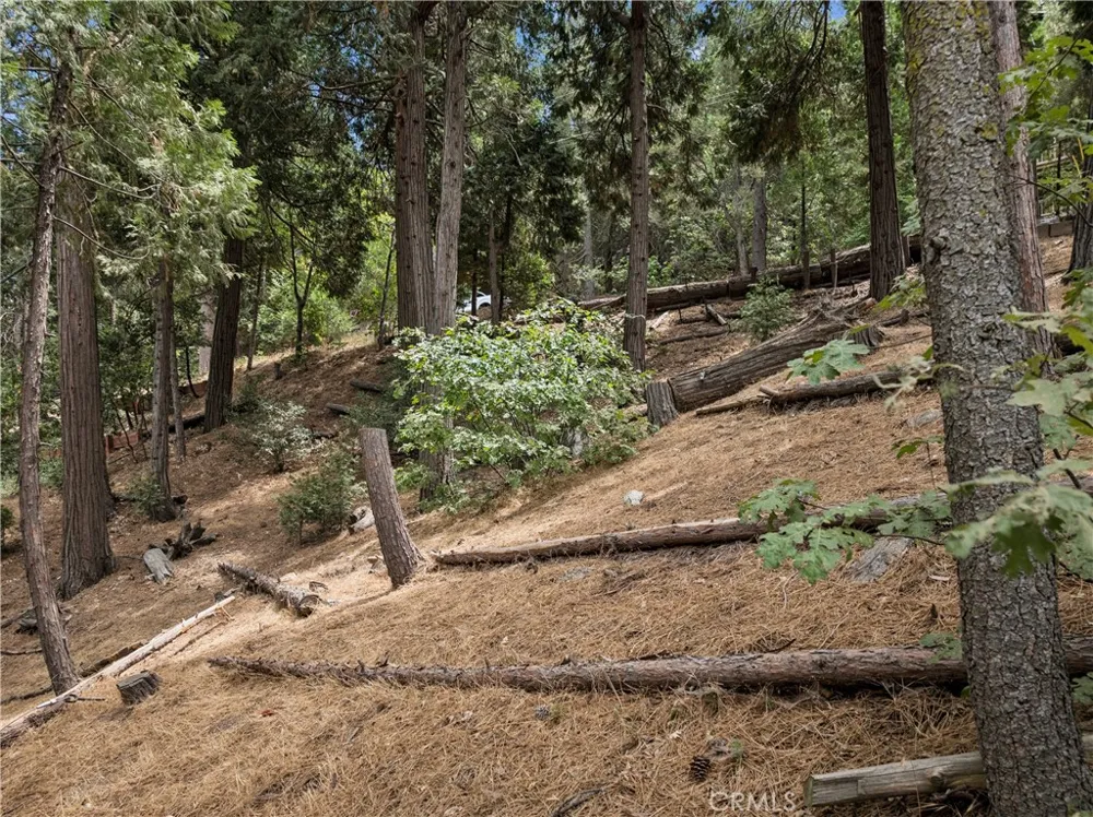 San Moritz (0 Horst) Crestline, CA 92325