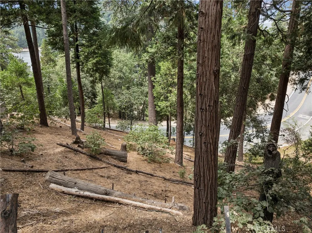 San Moritz (0 Horst) Crestline, CA 92325