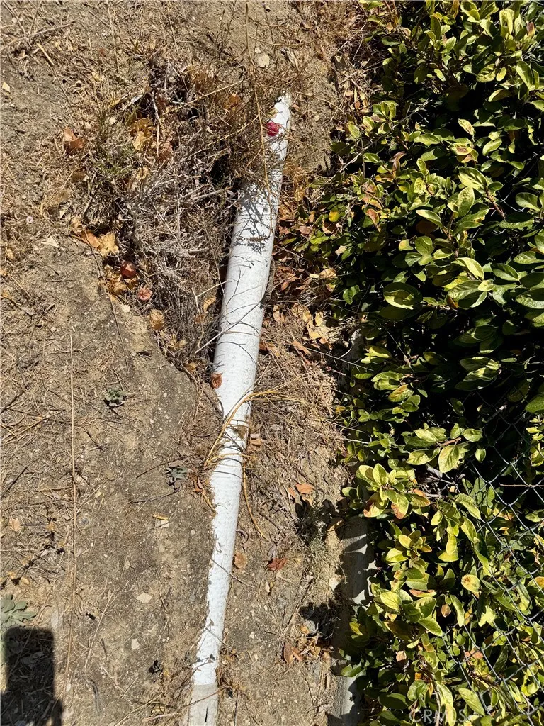 Welebir Loma Linda, CA 92354