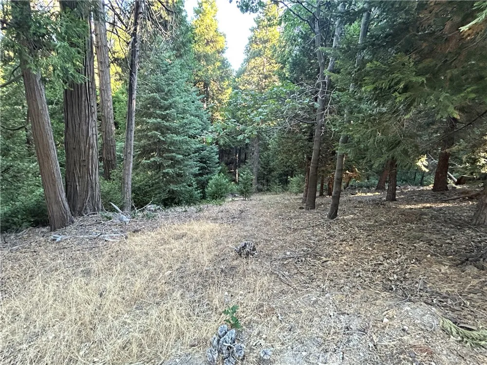 28980 White Dove Lane Lake Arrowhead, CA 92352
