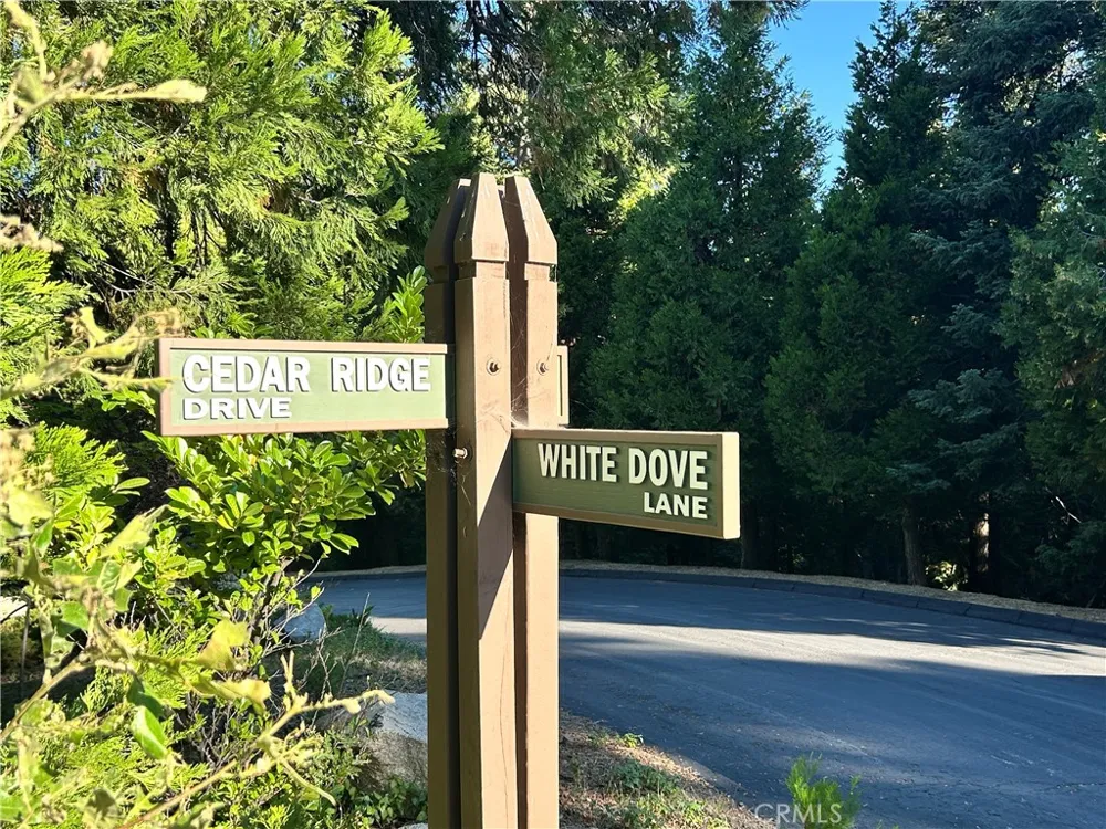 28980 White Dove Lane Lake Arrowhead, CA 92352