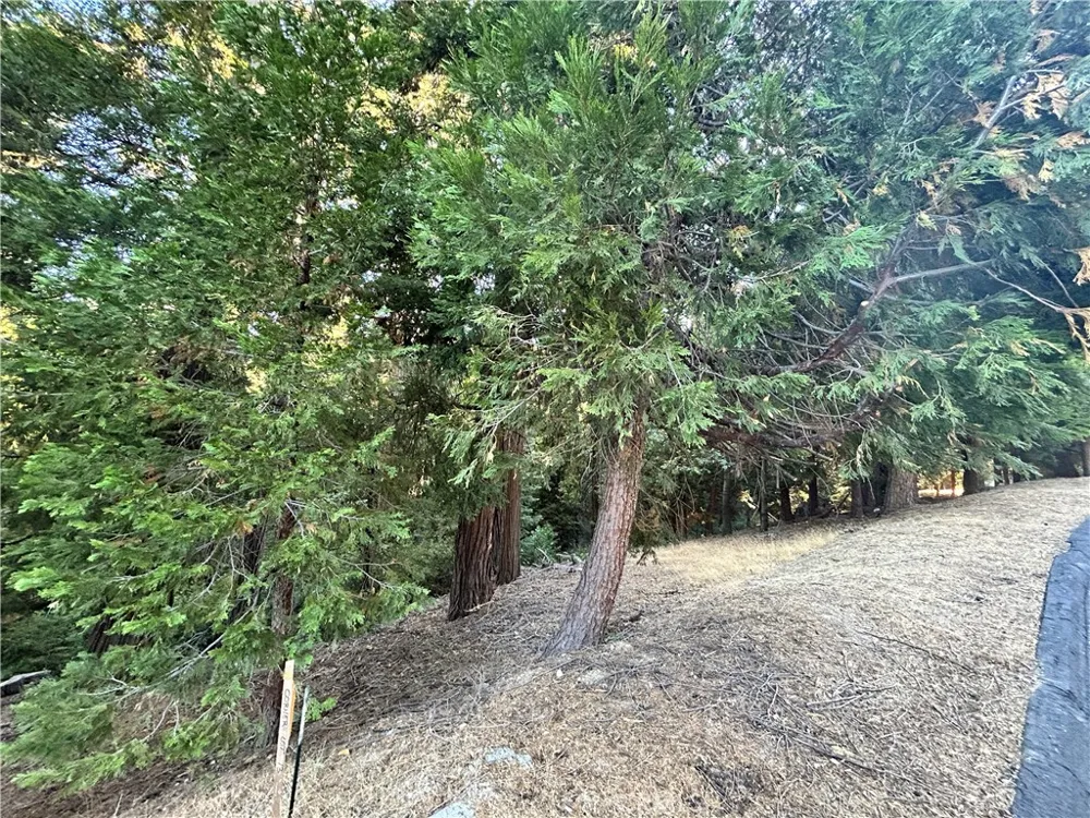 28980 White Dove Lane Lake Arrowhead, CA 92352