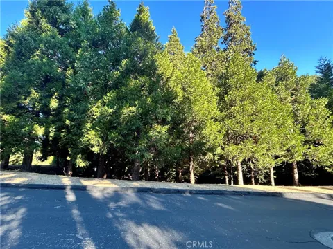 28980 White Dove Lane