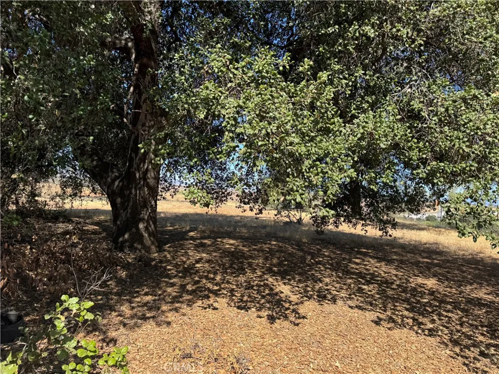 61 Redwood Calimesa, CA 92320