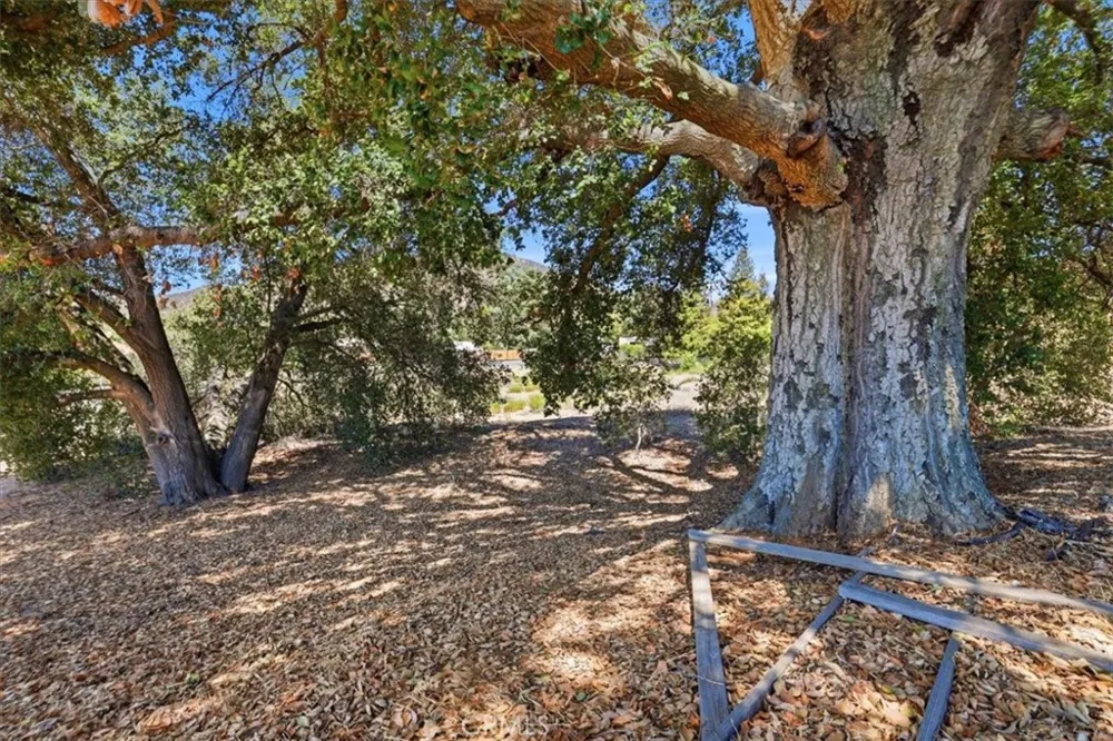 9157 Beauview Drive Beaumont, CA 92223