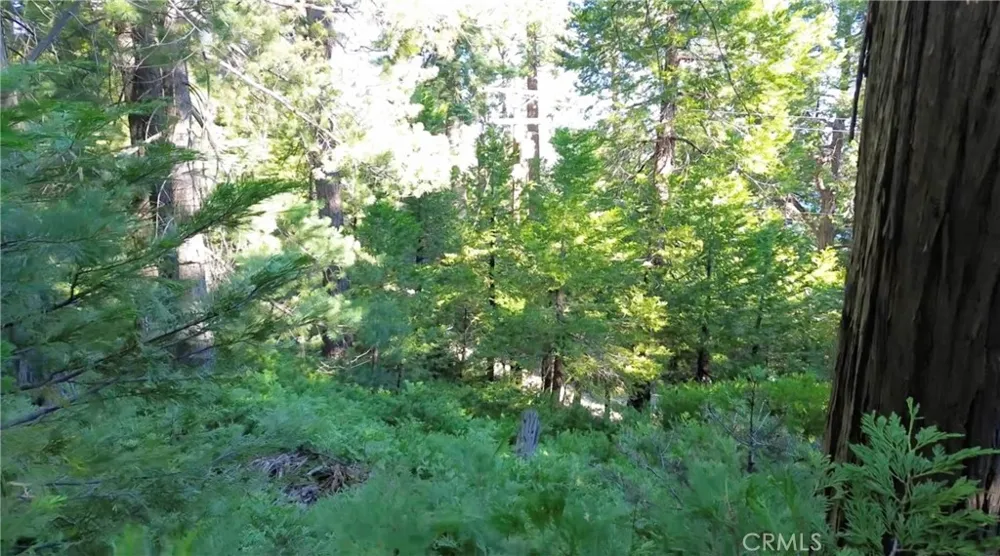 521 Stone Hill Lake Arrowhead, CA 92352