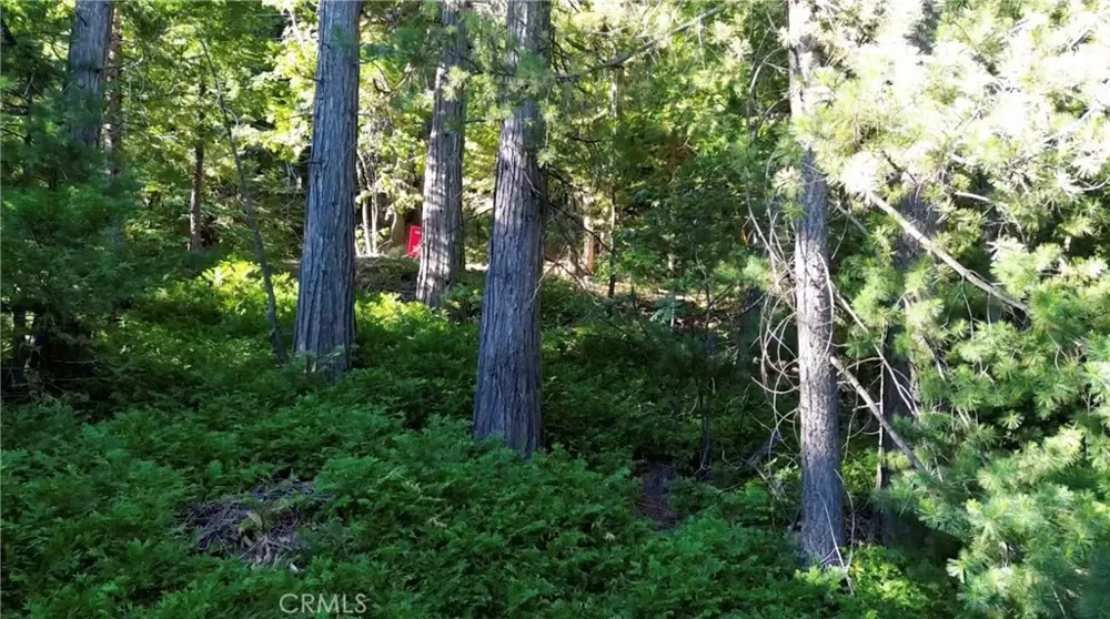 521 Stone Hill Lake Arrowhead, CA 92352