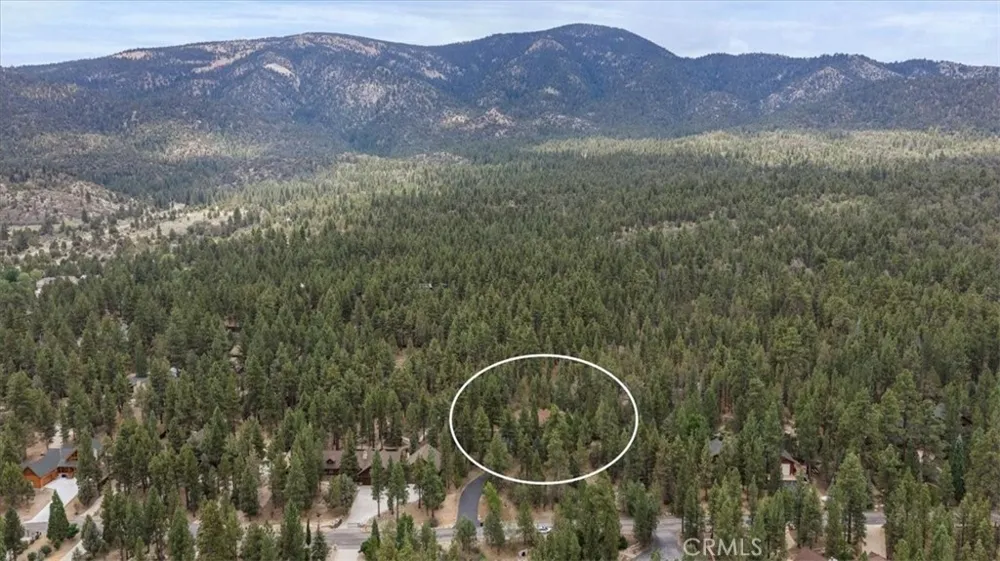 1924 Shady Lane Big Bear City, CA 92314