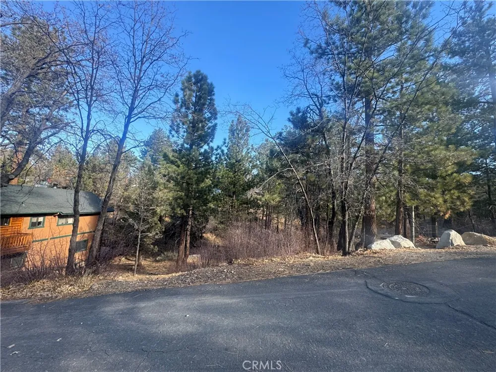 899 Kern Avenue Sugarloaf, CA 92386