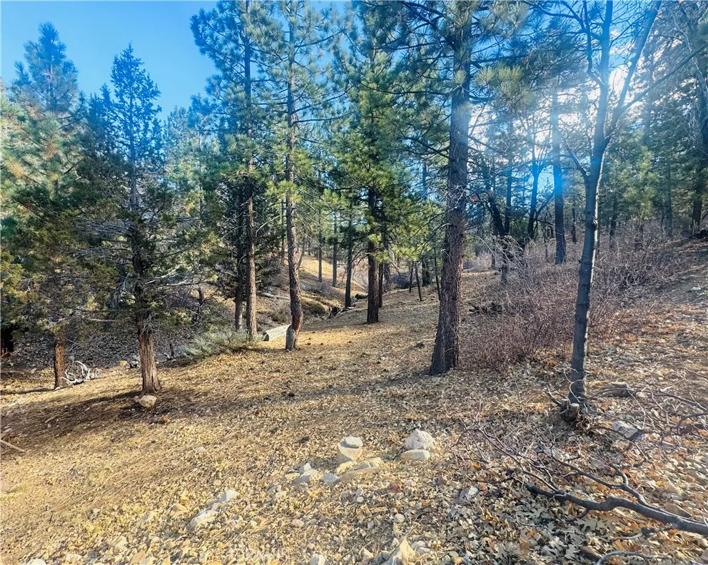 899 Kern Avenue Sugarloaf, CA 92386