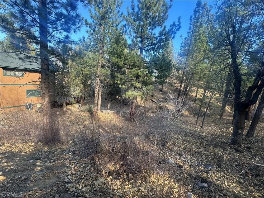 899 Kern Avenue Sugarloaf, CA 92386