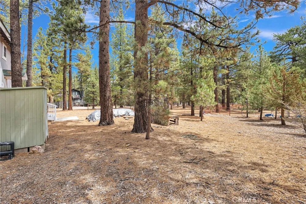 1140 Mitchell Big Bear City, CA 92314
