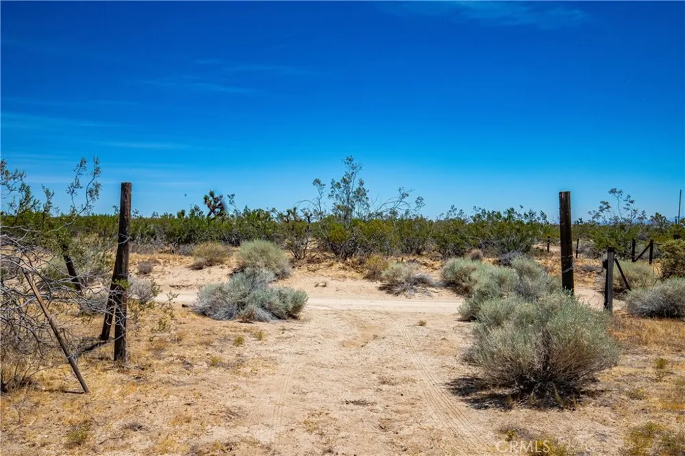 2035 230th Street W Rosamond, CA 93560