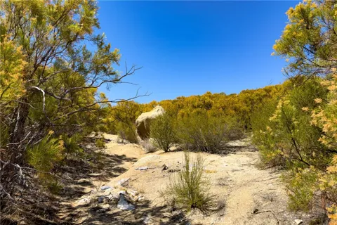 29051 Chihuahua Valley Road
