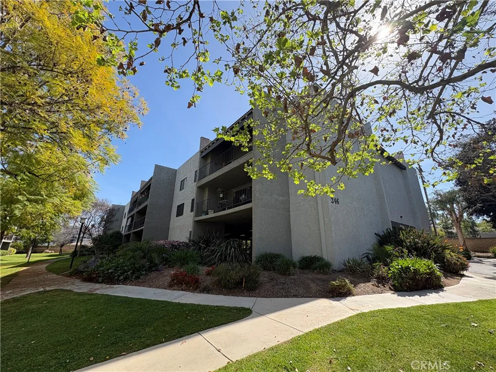 246 E Fern #103 Redlands, CA 92373