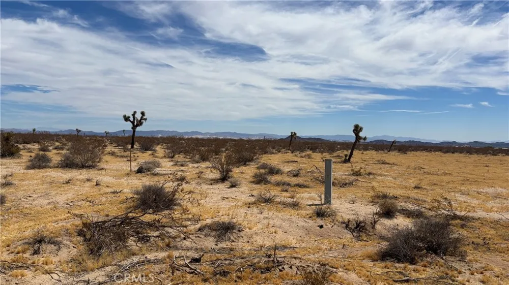 61434 La Brisa Joshua Tree, CA 92252