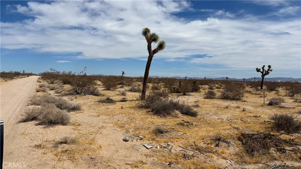61434 La Brisa Joshua Tree, CA 92252