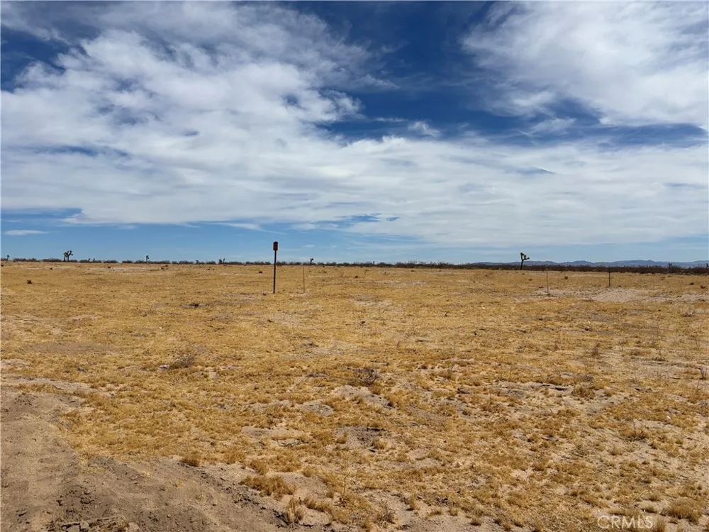 61434 La Brisa Joshua Tree, CA 92252