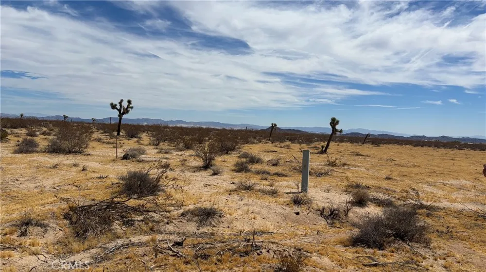 61434 La Brisa Joshua Tree, CA 92252