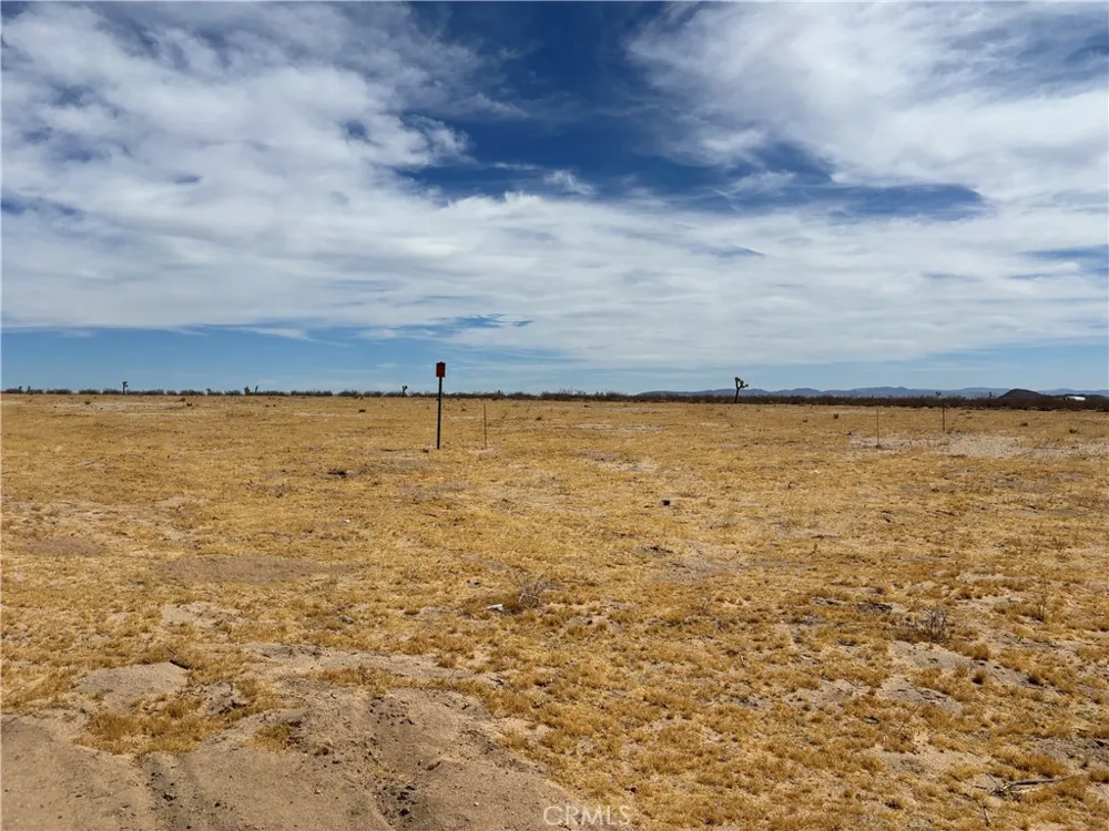 61434 La Brisa Joshua Tree, CA 92252