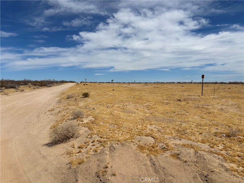 61434 La Brisa Joshua Tree, CA 92252