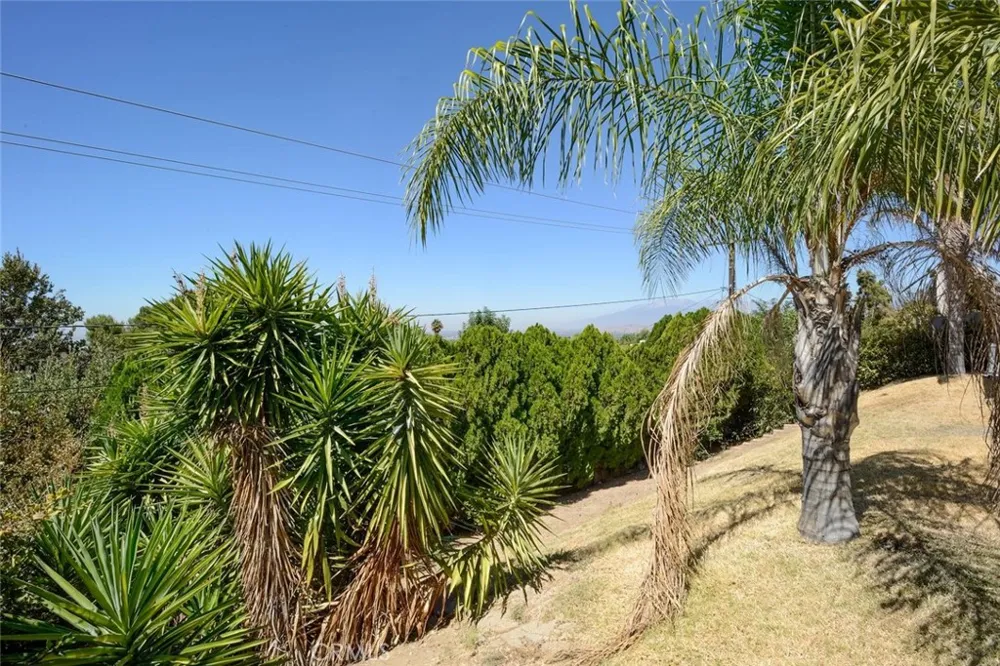 3803 Piedmont Highland, CA 92346