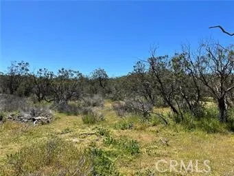 1 Barbara Trail Aguanga, CA 92536