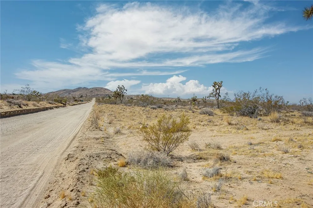 110 Anita Landers, CA 92285