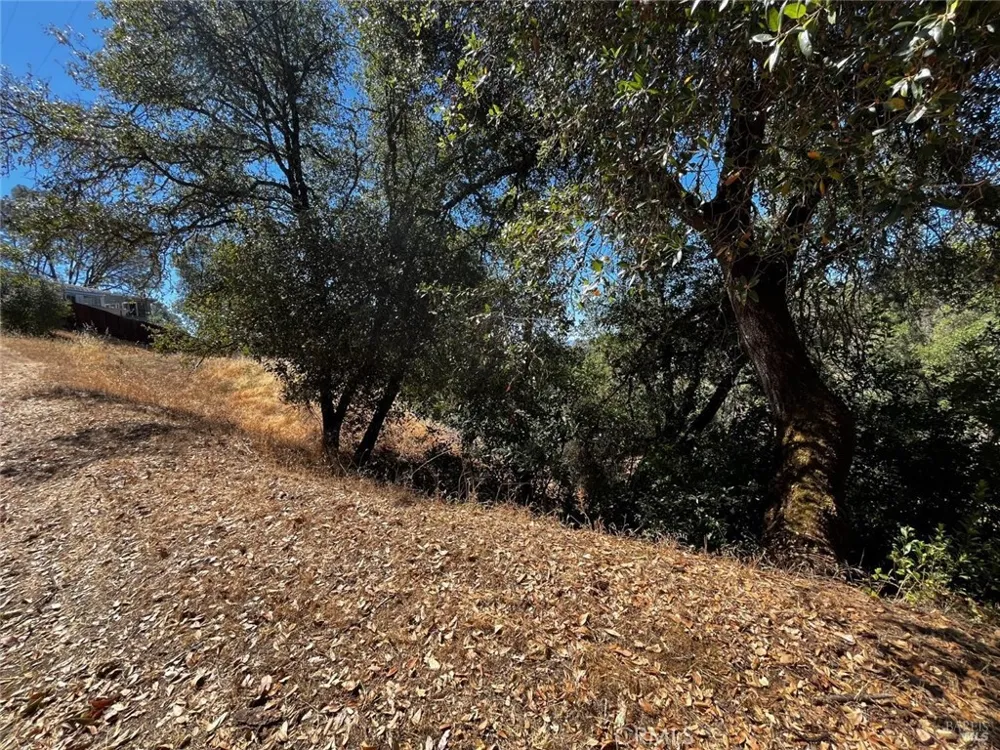 7220 Shasta Street Nice, CA 95464
