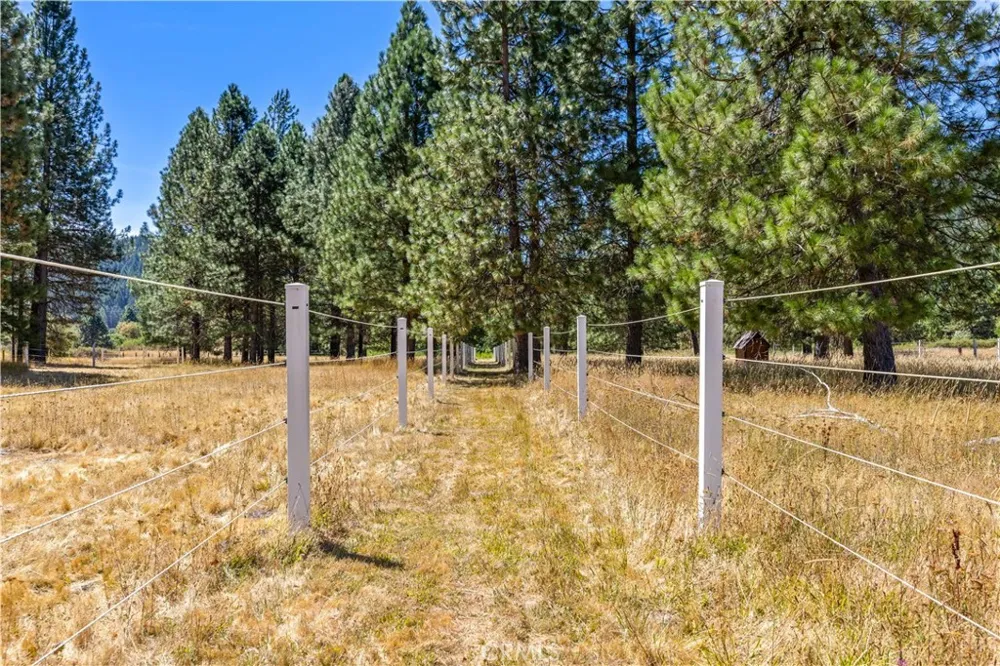 9679 Salmina Road Kelseyville, CA 95451
