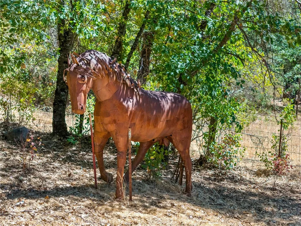 9679 Salmina Road Kelseyville, CA 95451