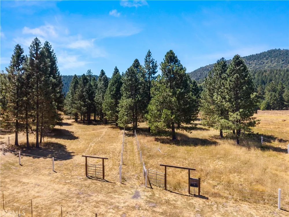 9679 Salmina Road Kelseyville, CA 95451