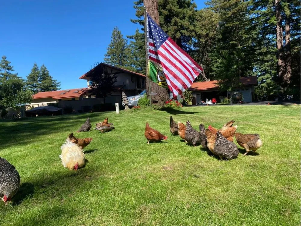 23965 Mountain Charlie Road Los Gatos, CA 95033
