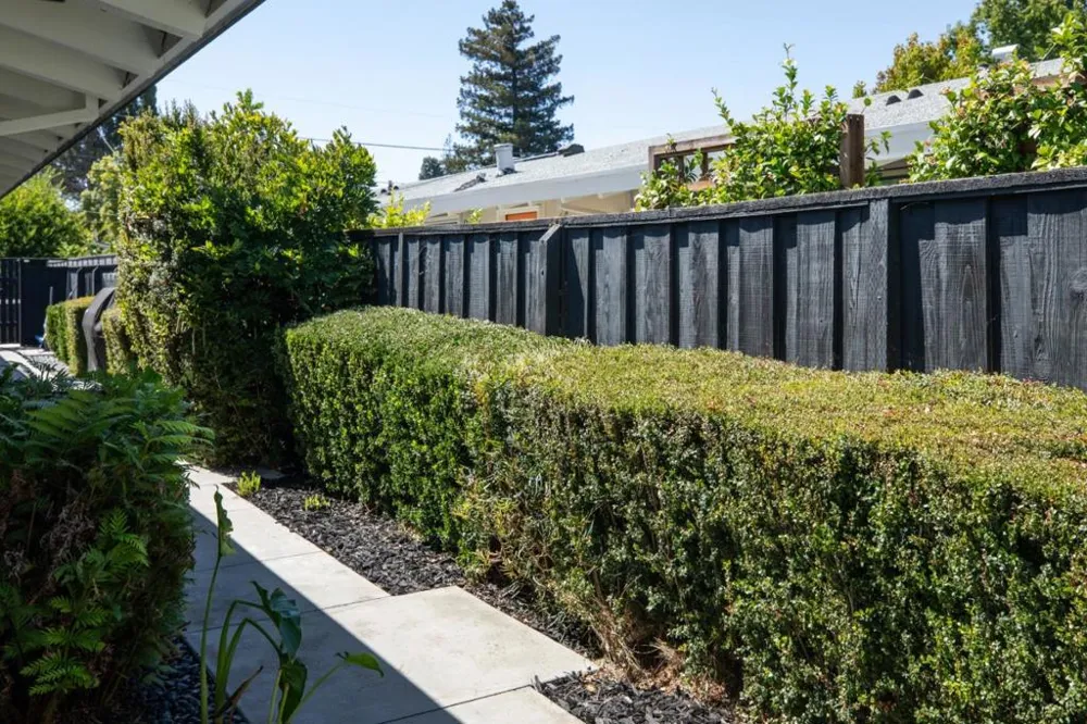 774 Betty Court Sunnyvale, CA 94086